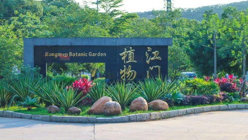 首屆杜阮羊肉美食節盛大啟動，融合美食與冰雪體驗